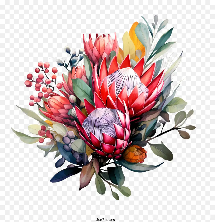 Flor De Protea，Flores PNG