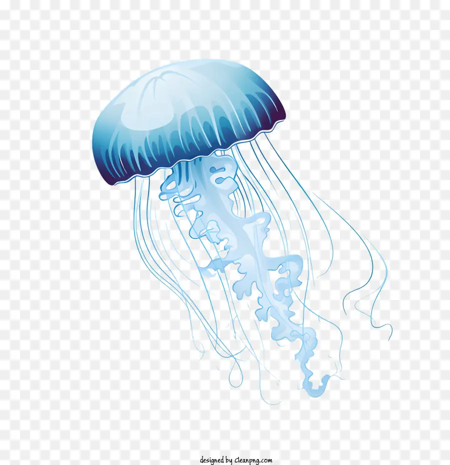 Día Mundial De Medusas，Las Medusas PNG