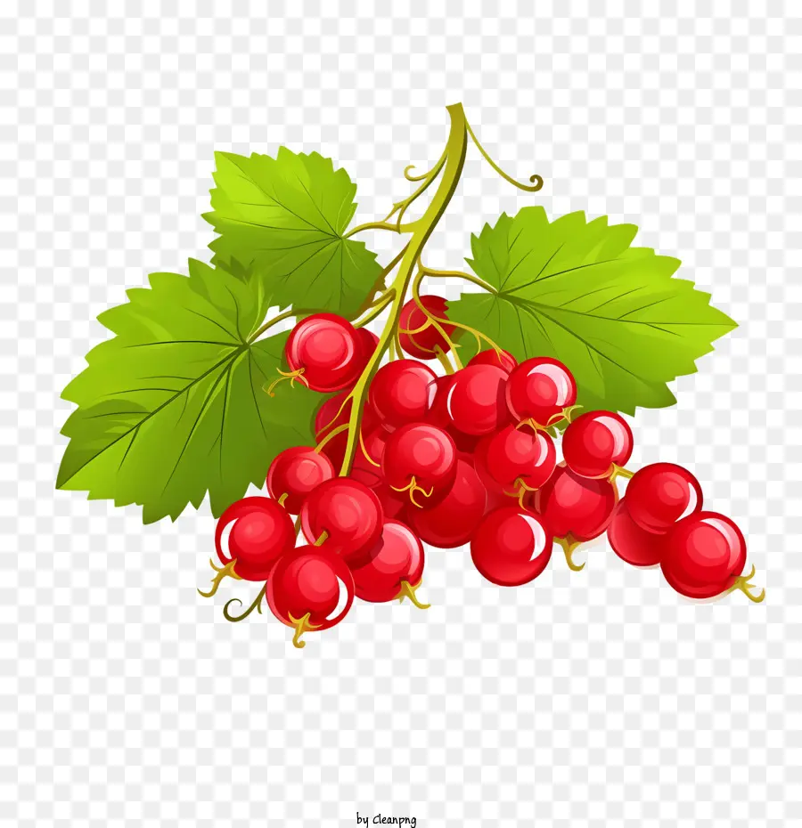 Cranberries，Rojo PNG