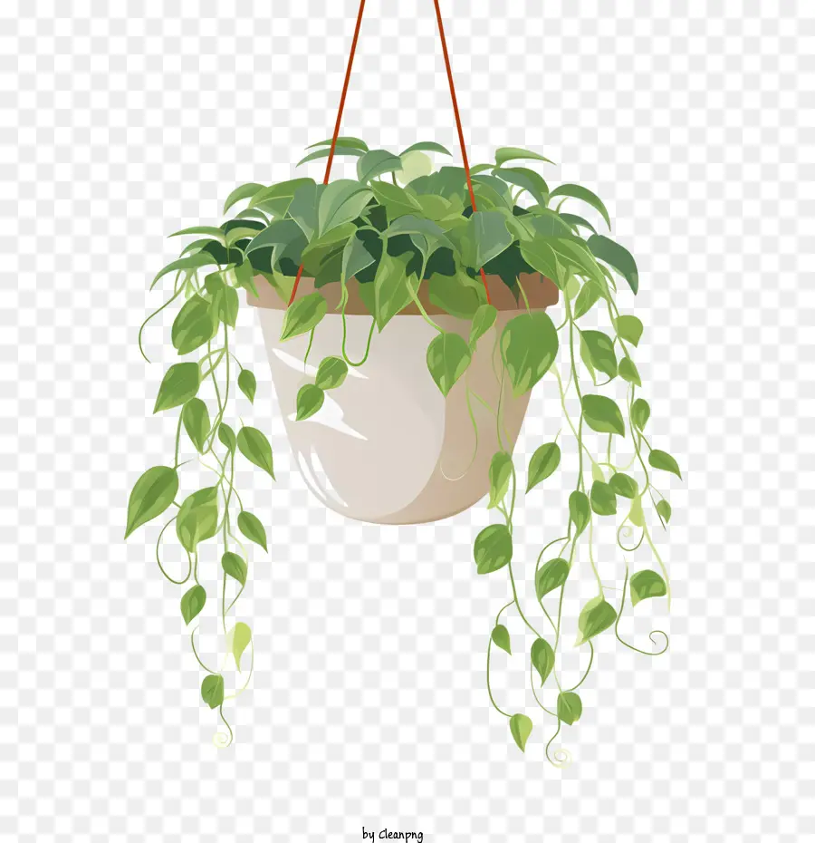 Planta Colgante Con Maceta，Planta En Maceta PNG