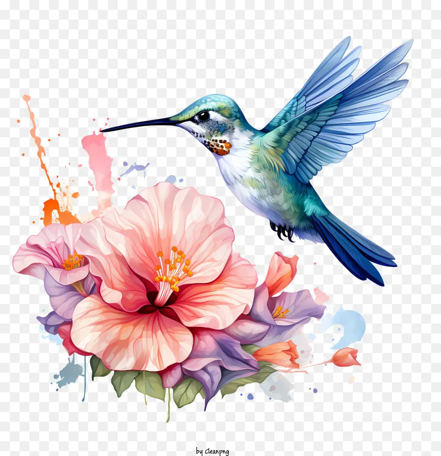 Día De Colibrí，Aves PNG