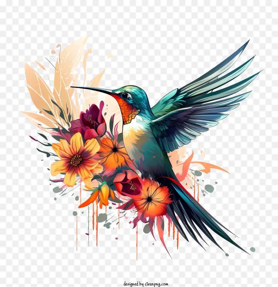 Dia Del Colibrí，Colibrí PNG