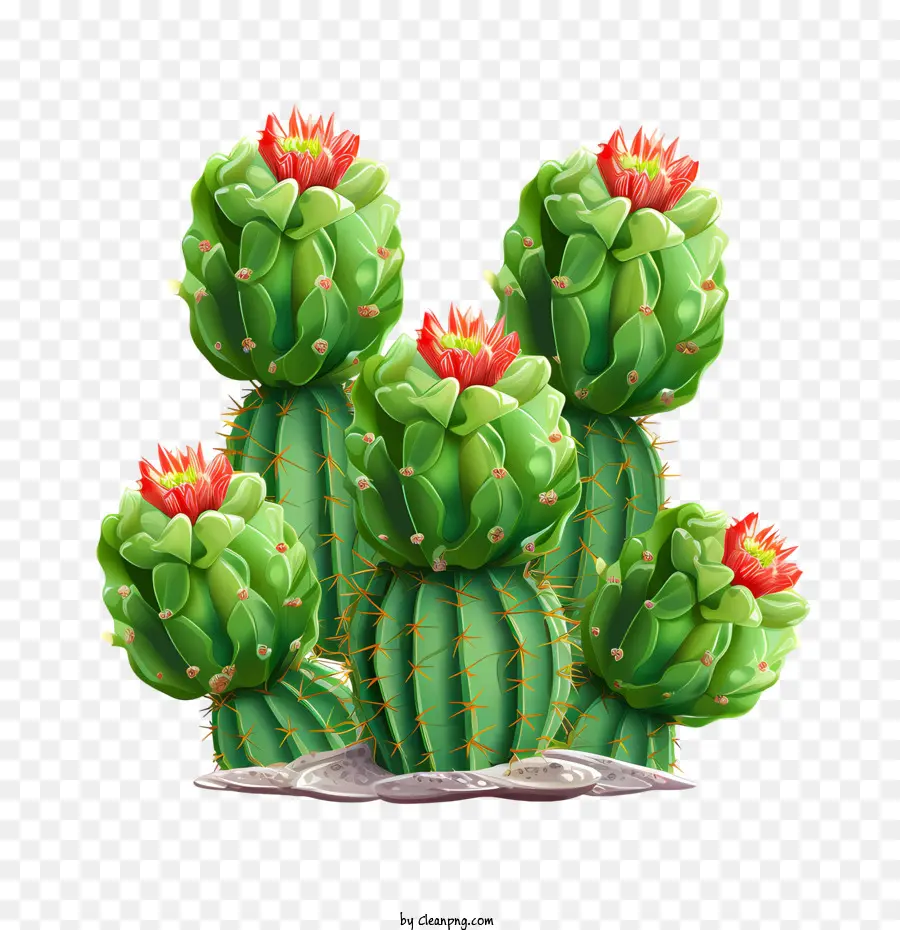 Cactus，Suculento PNG