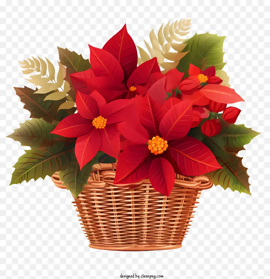 La Flor De Pascua，Las Flores De Color Rojo PNG