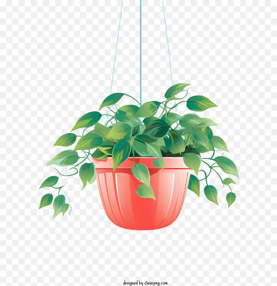 Planta Colgante Con Maceta，Planta Colgante PNG