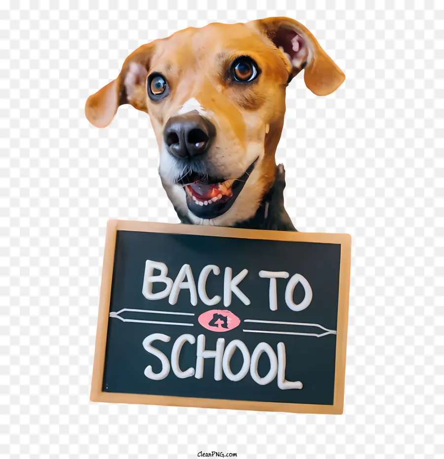 Regreso A La Escuela，Perro PNG