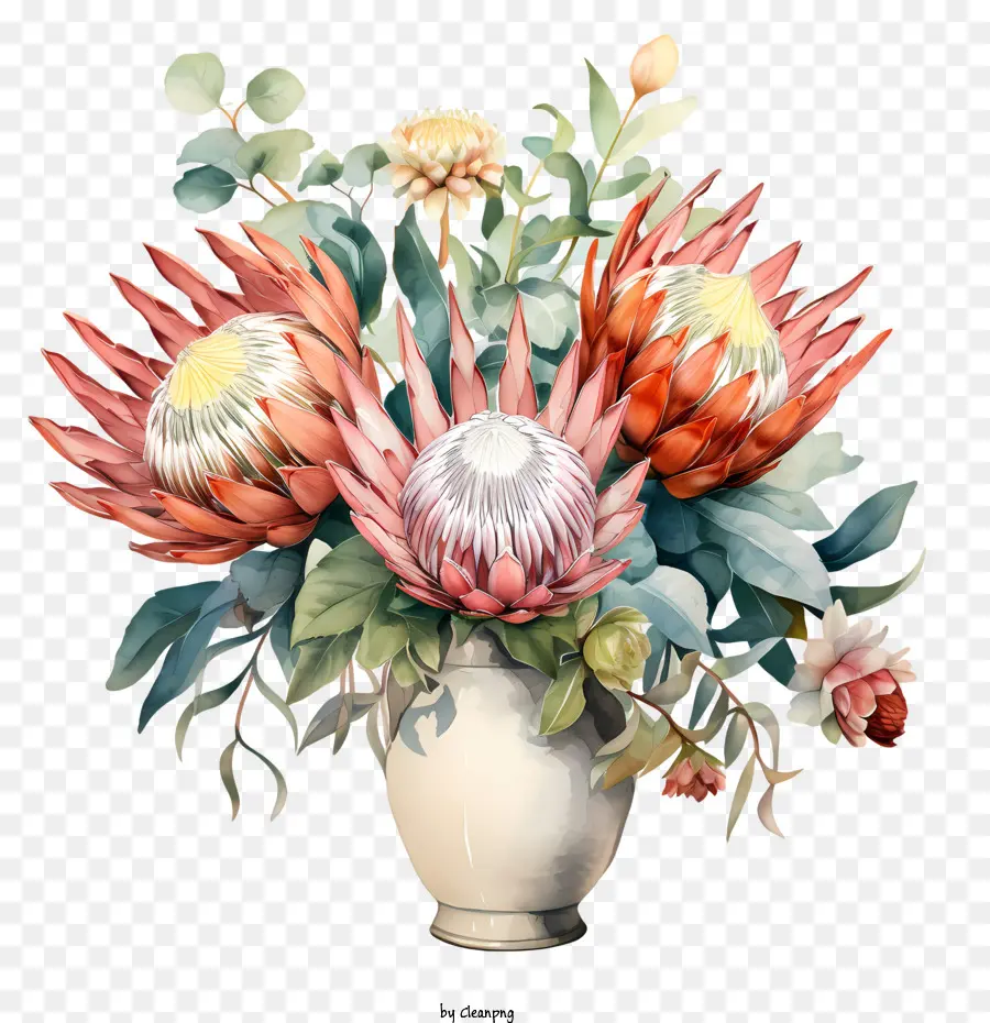 Protea Flor，Acuarela PNG