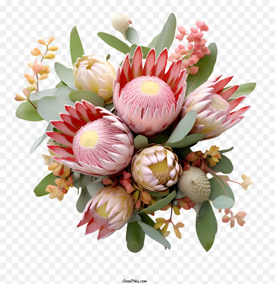 Protea Flor，Flores De Color Rosa PNG