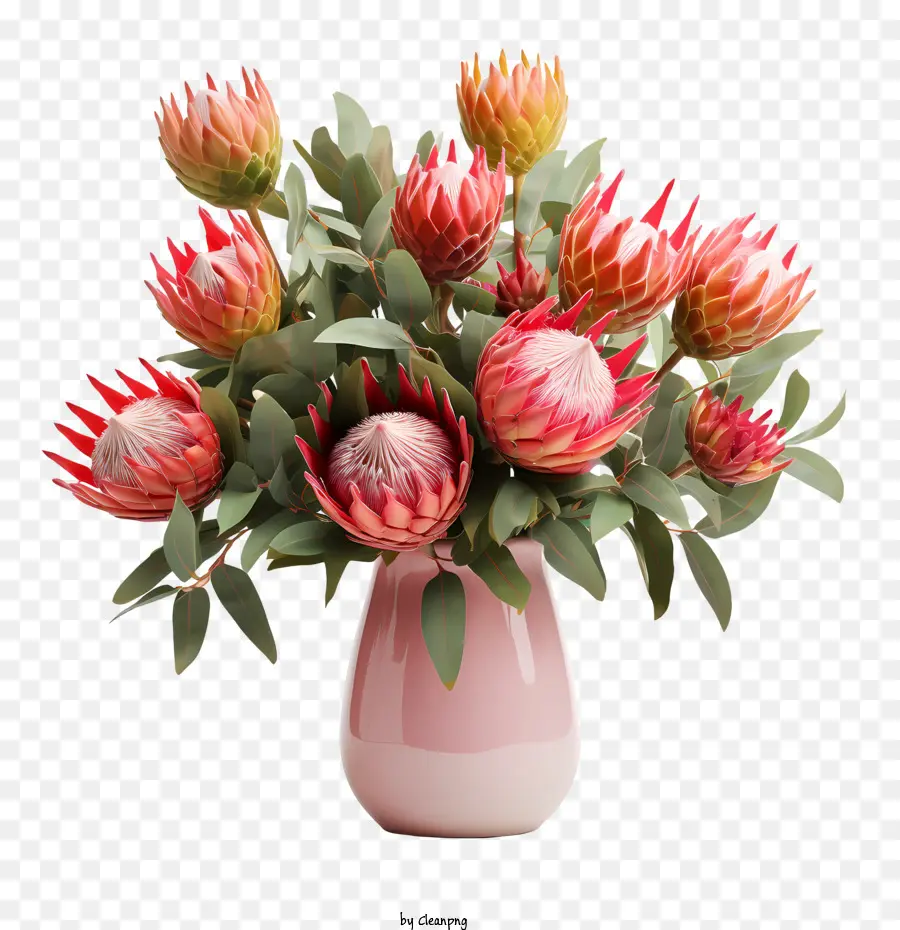 Protea Flor，Rosa Del Florero PNG