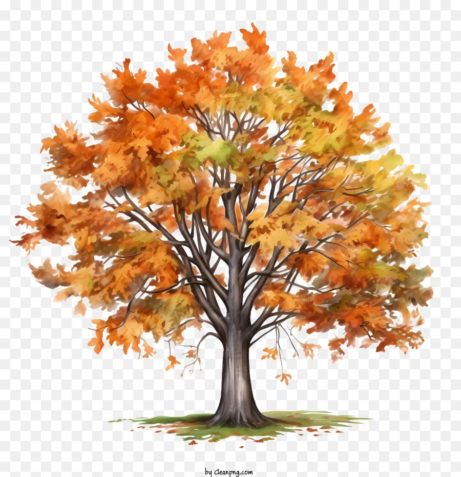 árbol De Otoño，Otoño PNG