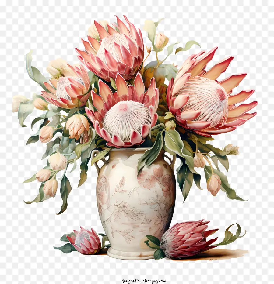 Protea Flor，Bouquet Of Flowers PNG