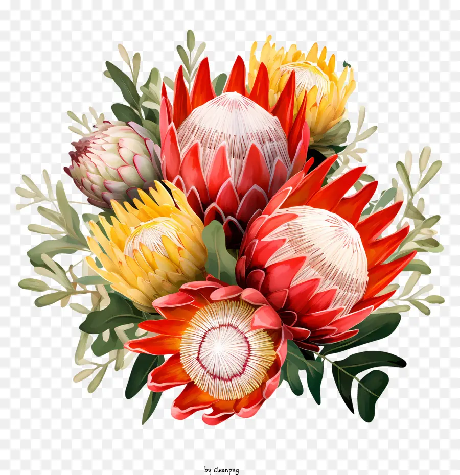 Flor De Protea，Flores Proteicas PNG