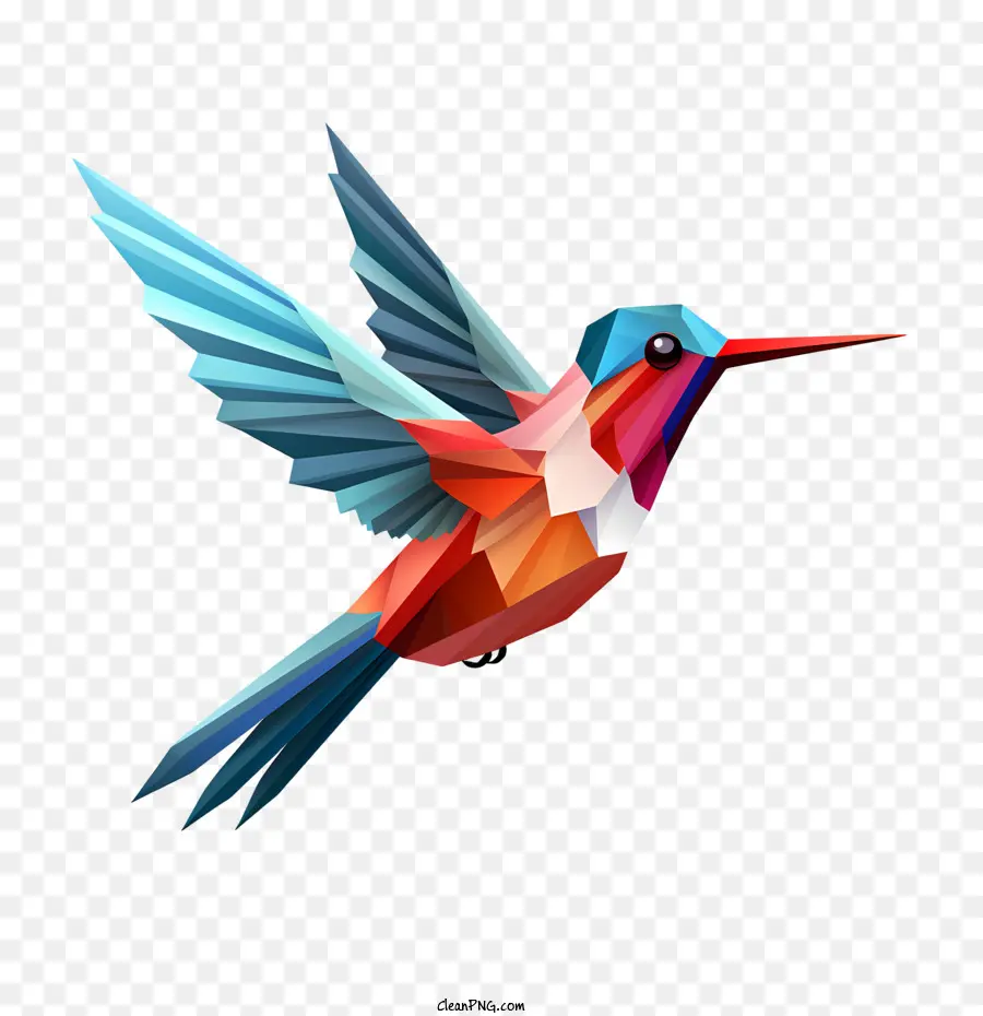 Día De Colibrí，Colorido PNG