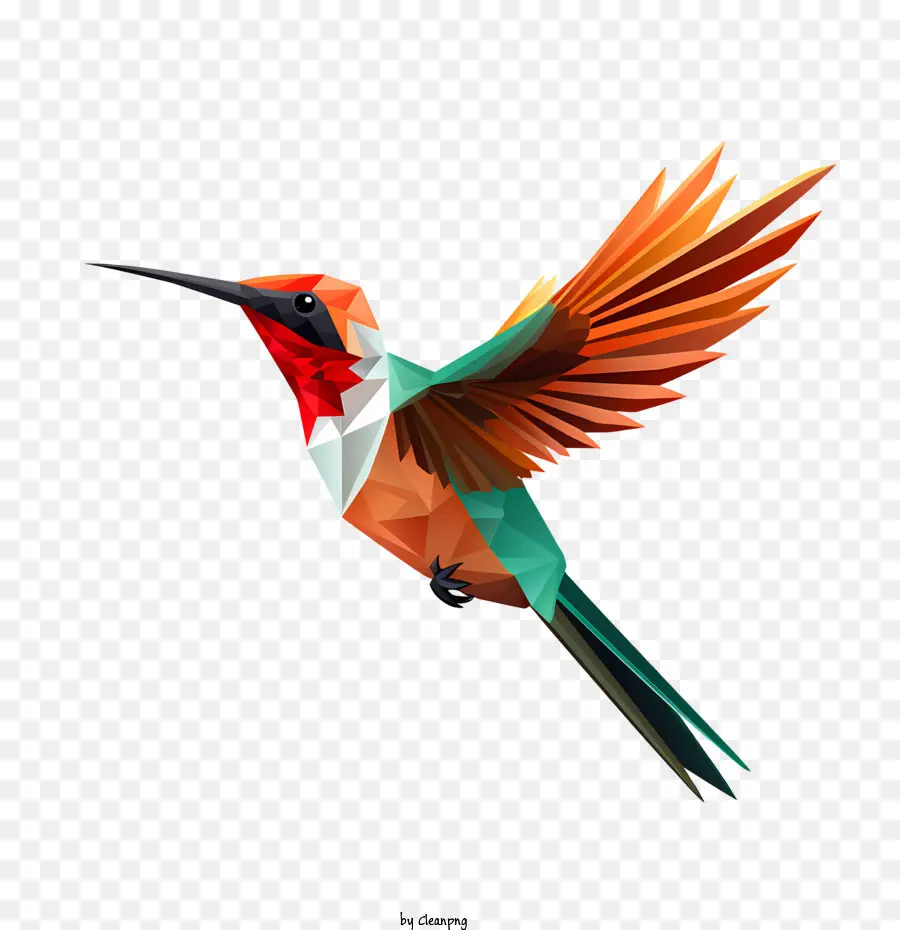 Día De Colibrí，Aves PNG