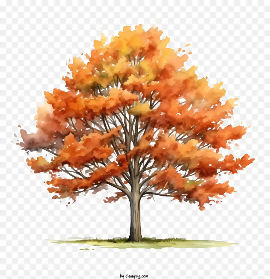árbol De Otoño，Árbol PNG