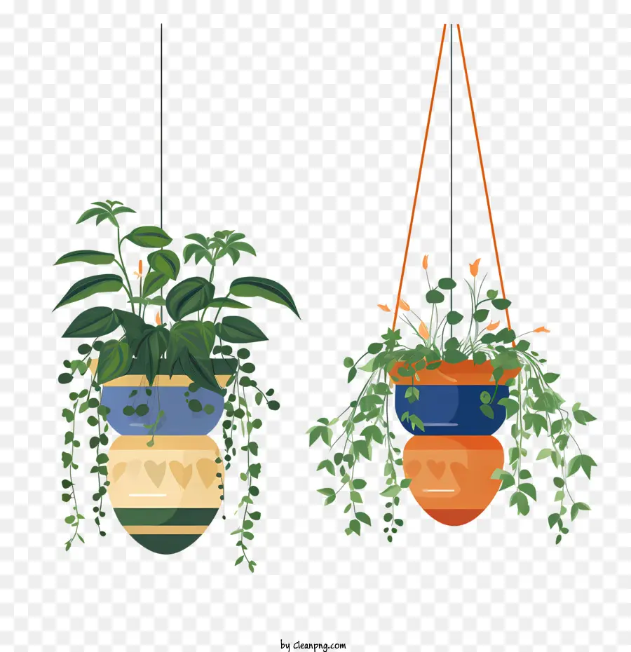 Planta Colgante Con Maceta，Plantas Colgantes PNG