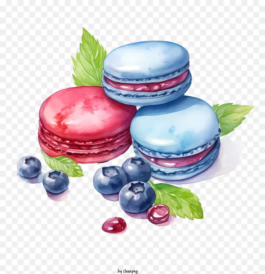 Macaroon Día，Limón PNG