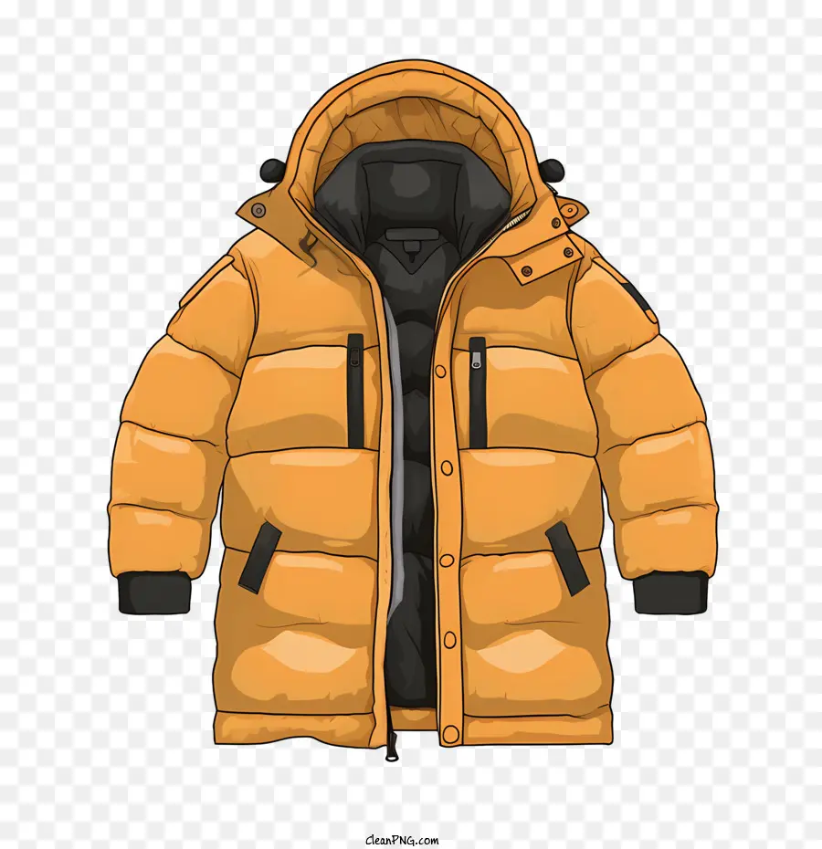 Abrigo De Invierno，Chaqueta PNG