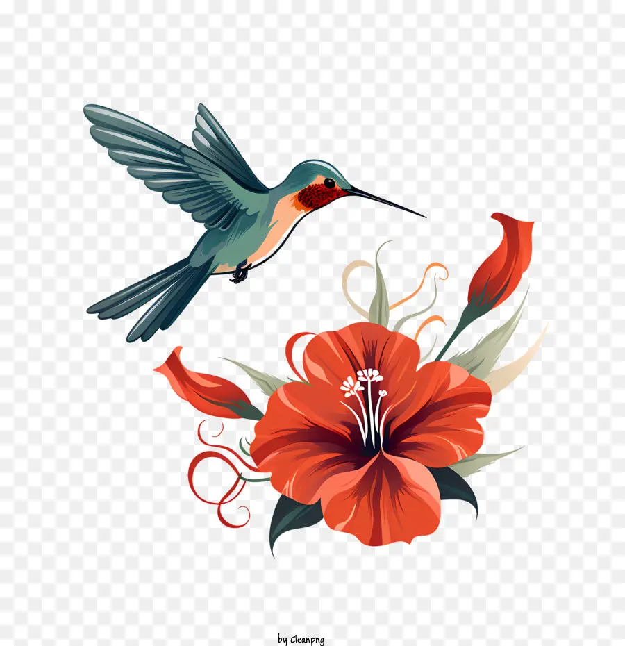 Día De Colibrí，Aves PNG