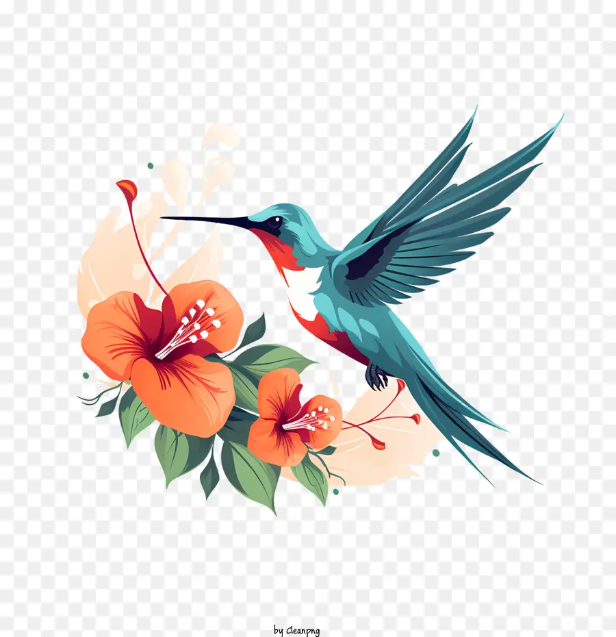 Día De Colibrí，Aves PNG