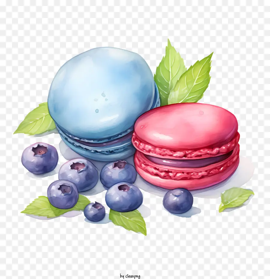 Macaroon Día，Acuarela PNG