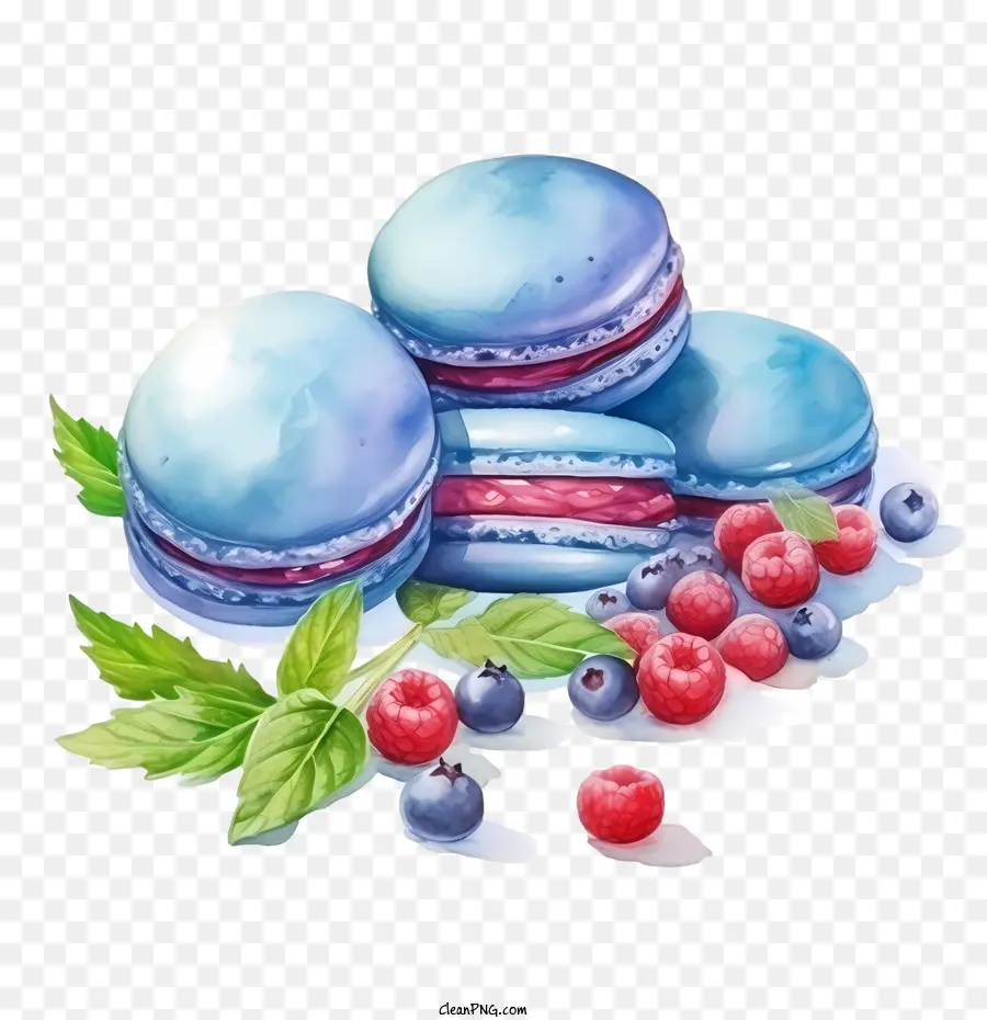 Macaroon Día，Bayas PNG