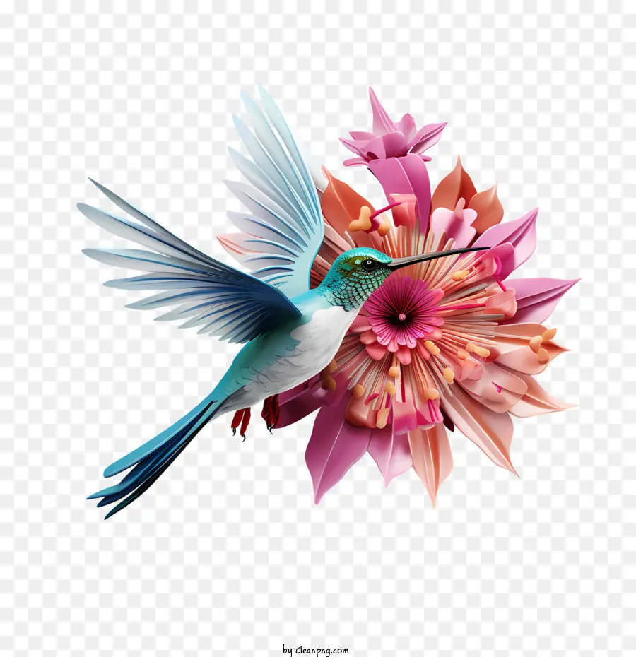 Día De Colibrí，Floral PNG