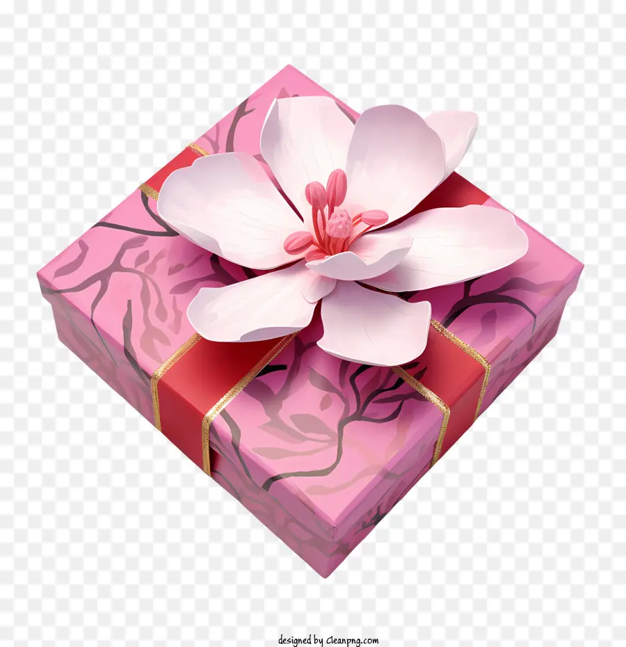 Rosa Caja De Regalo，Rosa PNG