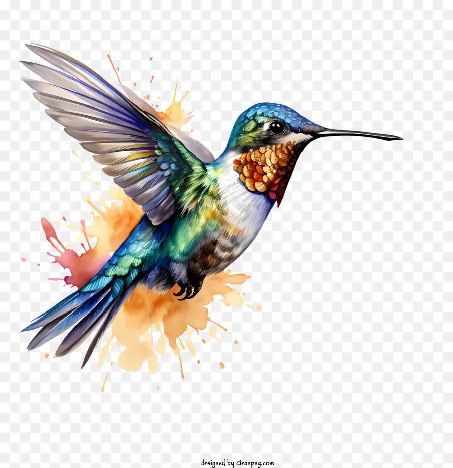 Día De Colibrí，Colibrí PNG