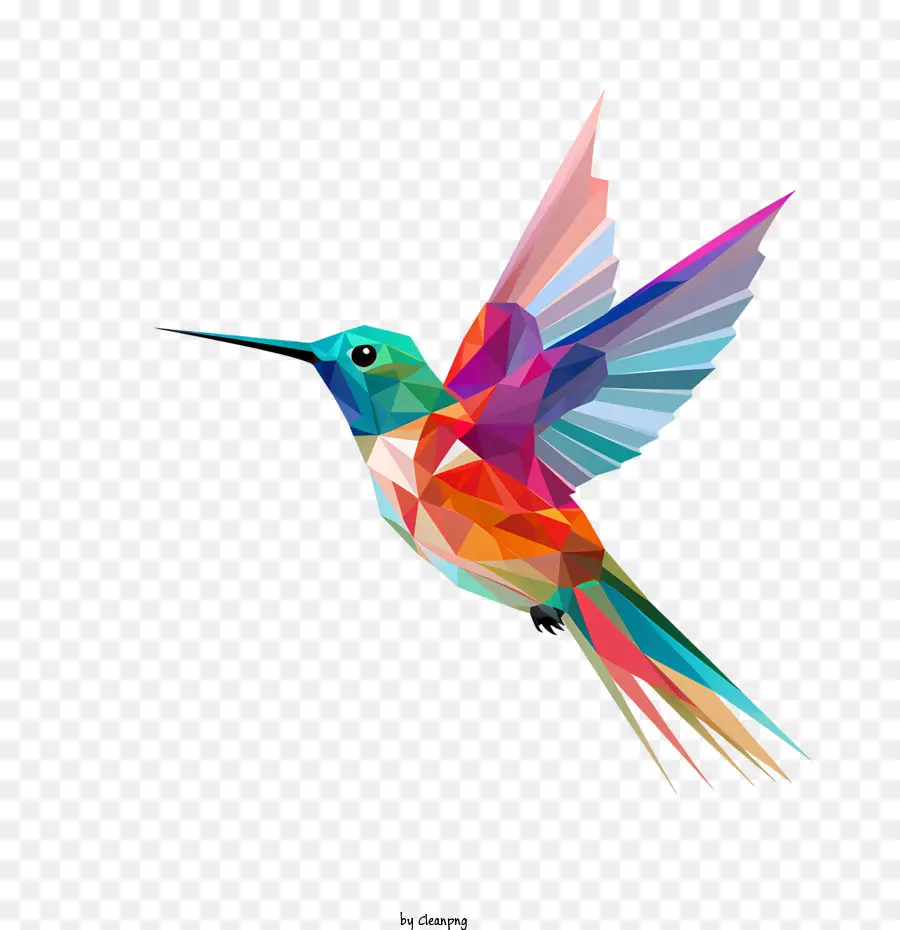 Día De Colibrí，Colorido PNG