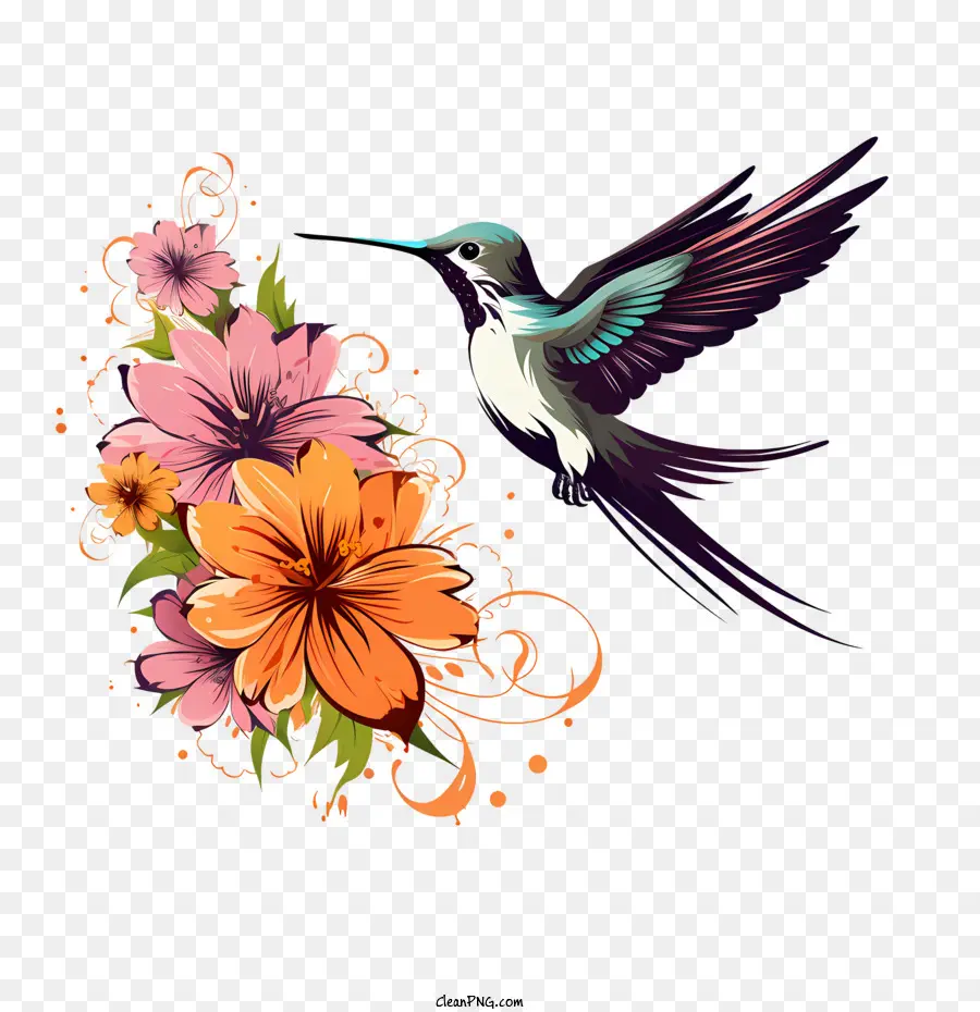 Dia Del Colibrí，Colibrí PNG