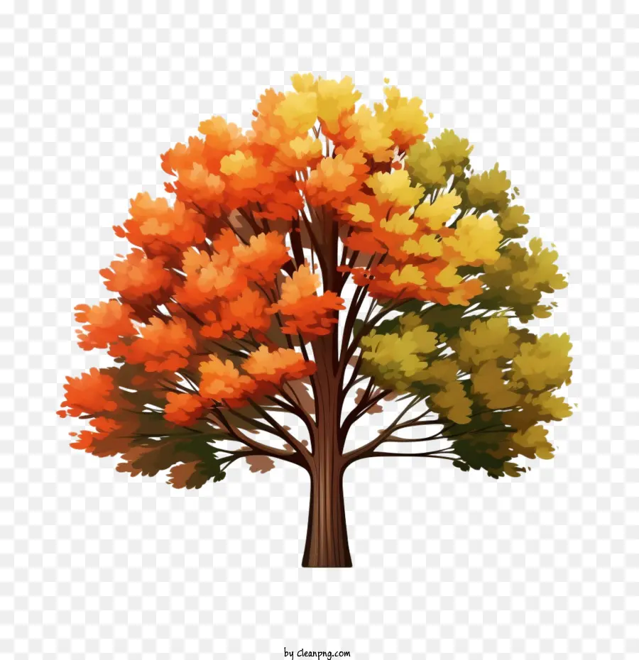 árbol De Otoño， PNG