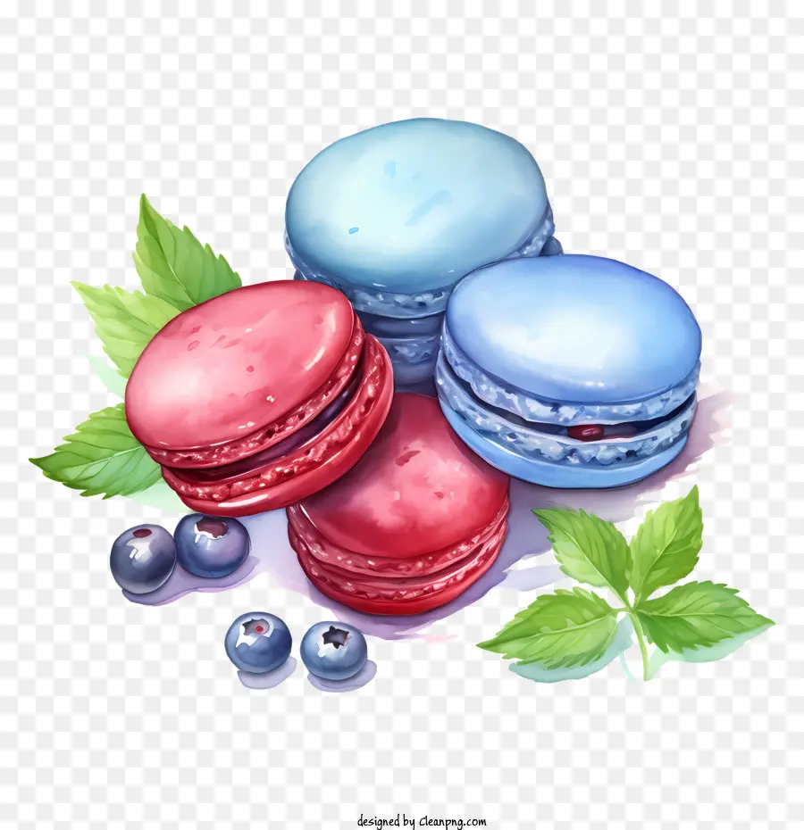 Macaroon Día，Acuarela PNG