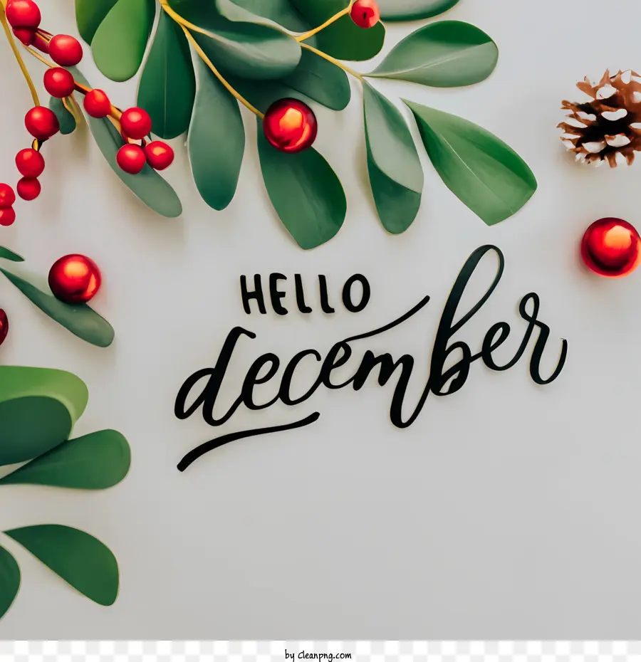 Hola De Diciembre De，Decoración Navideña PNG