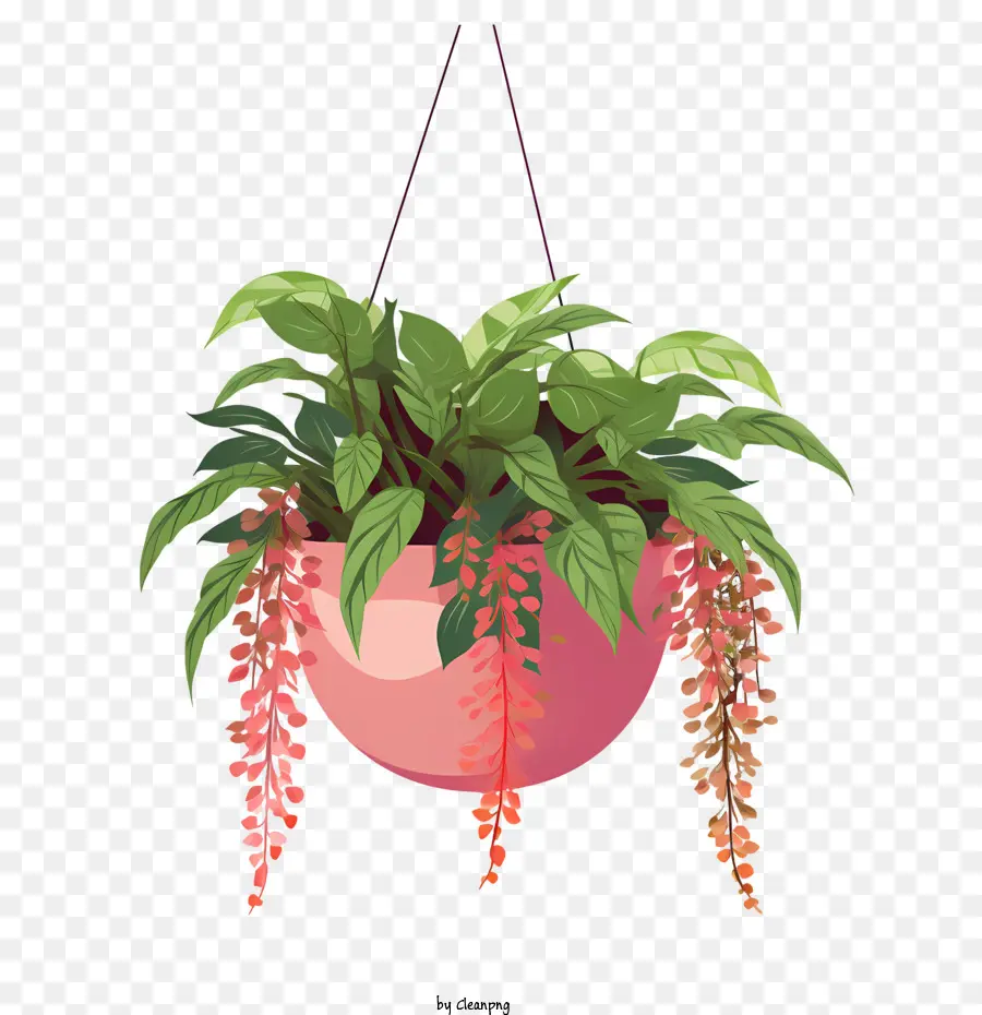 Planta Colgante Con Maceta，Planta En Maceta PNG