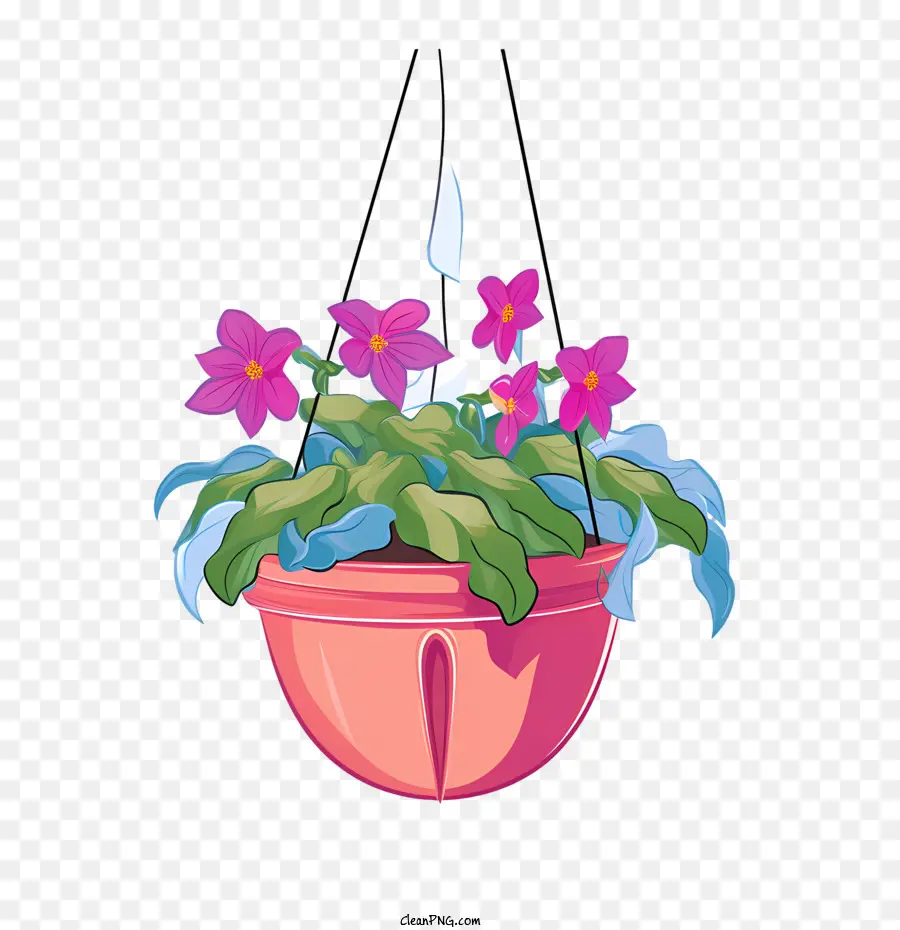 Planta Colgante Con Maceta，Planta En Maceta PNG