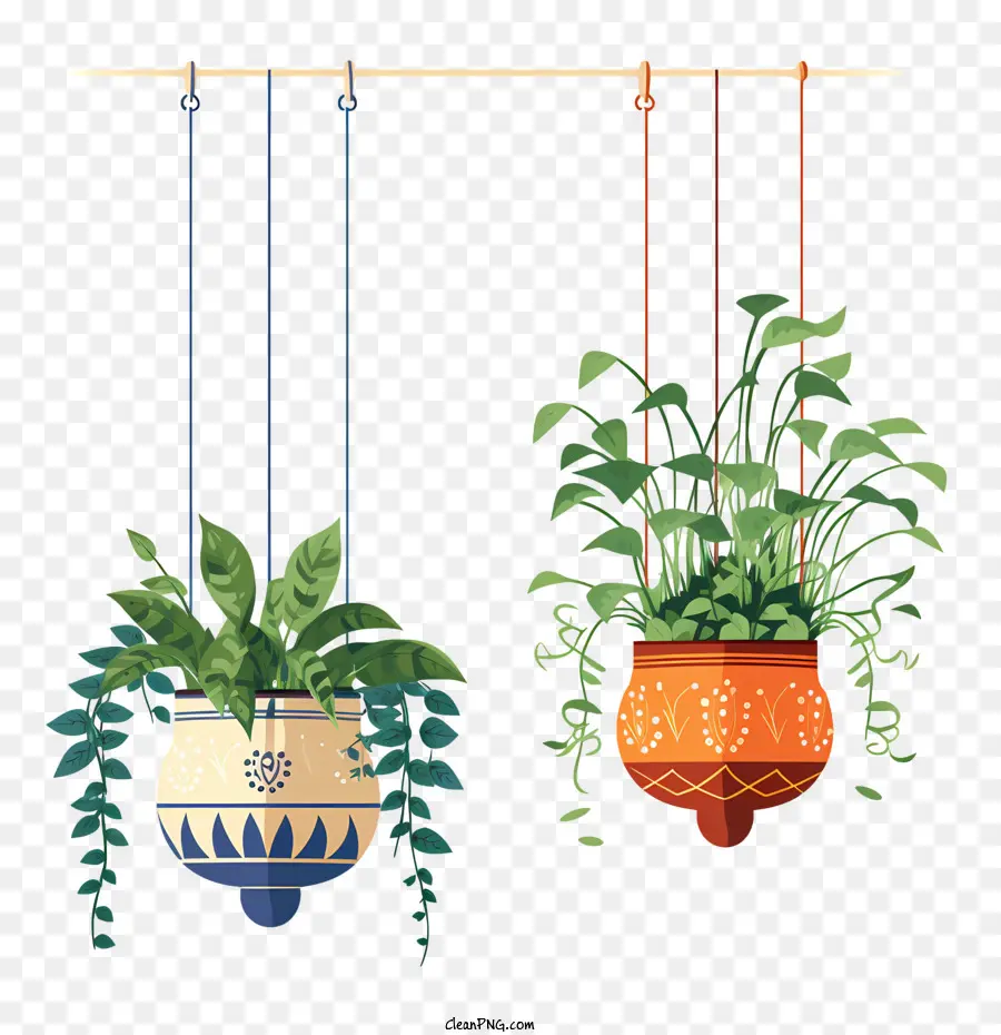 Planta Colgante Con Maceta，Las Plantas En Maceta PNG