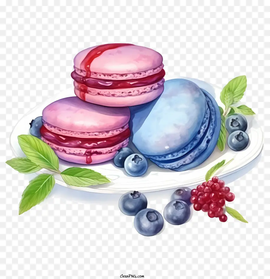 Día Del Macarrón，Macarrones PNG