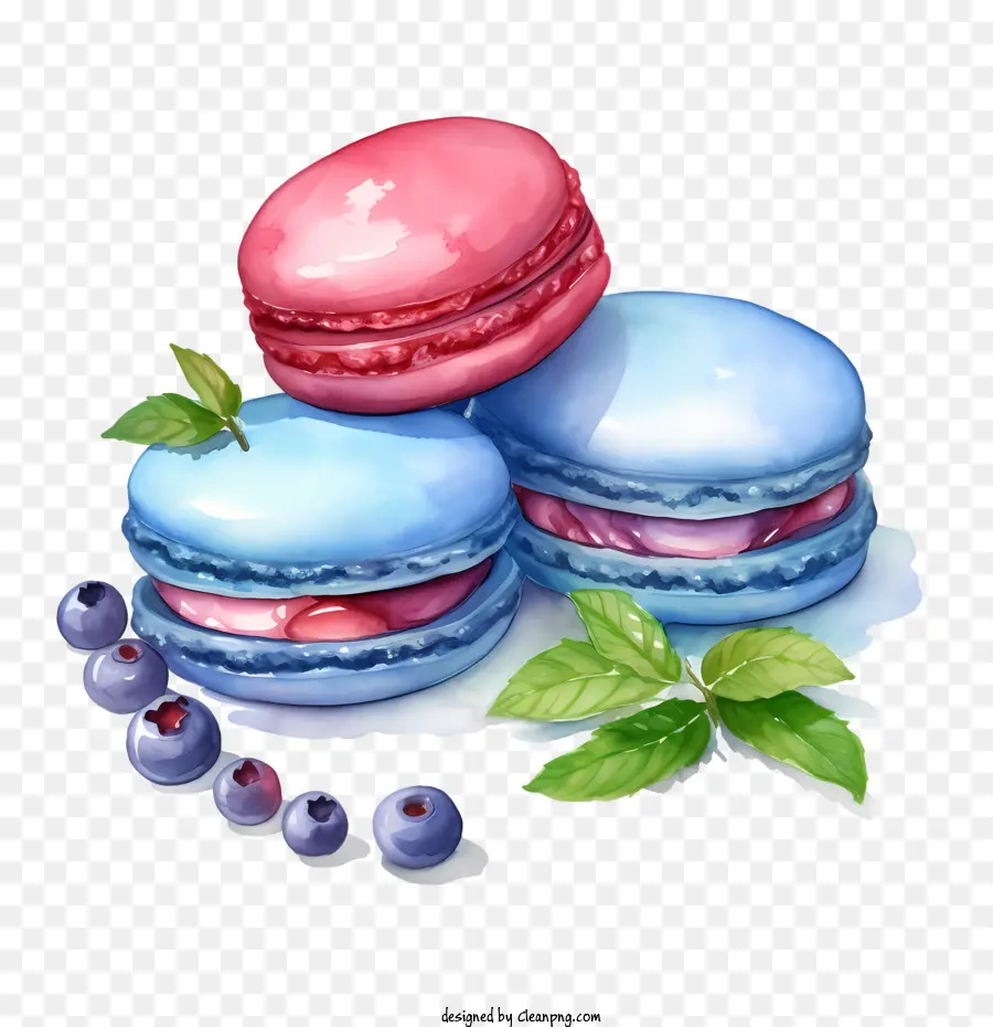 Día Del Macarrón，Macarrones PNG