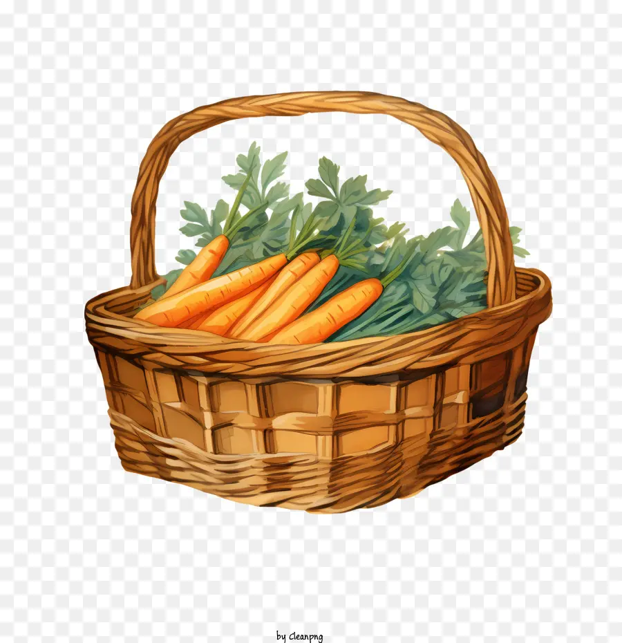 Zanahoria，Verduras PNG