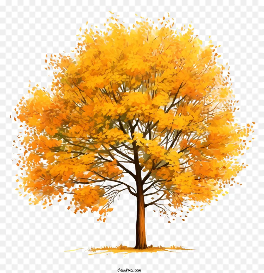 árbol De Otoño，árbol Amarillo PNG