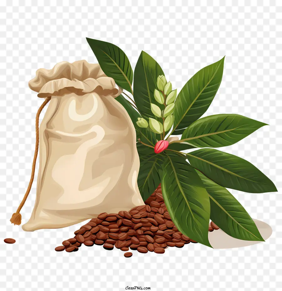 Bolsa De Granos De Café，Bolsa PNG