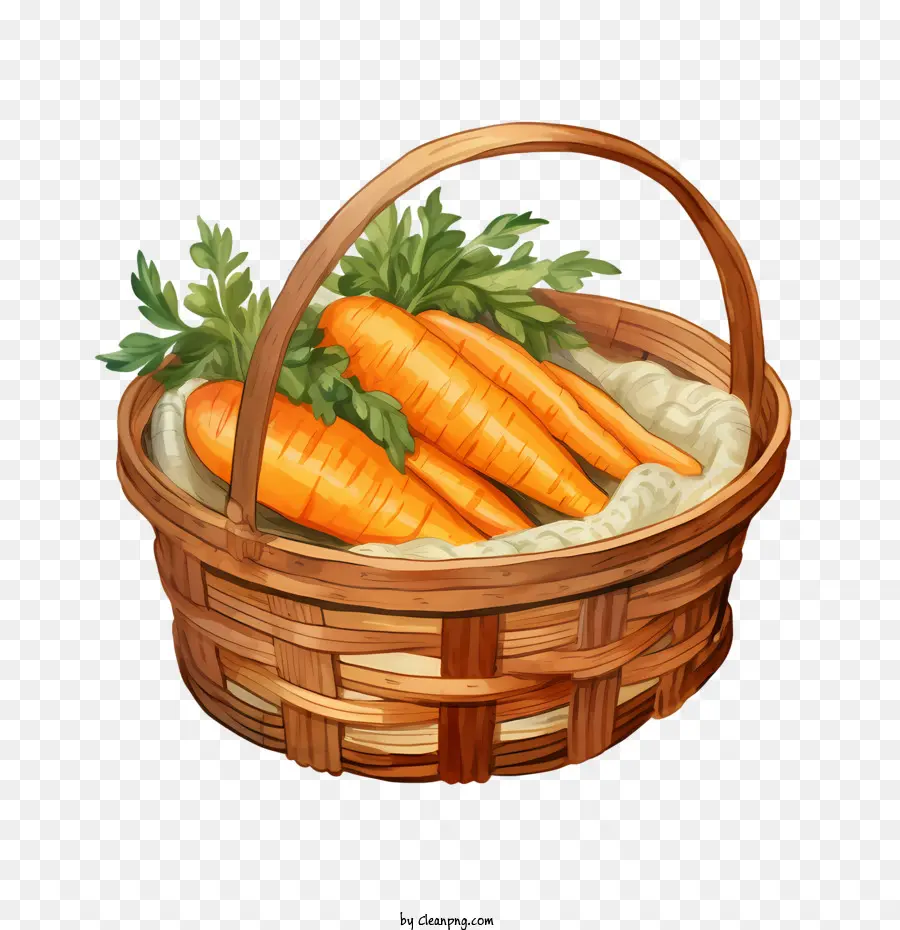 Zanahoria，Las Zanahorias PNG