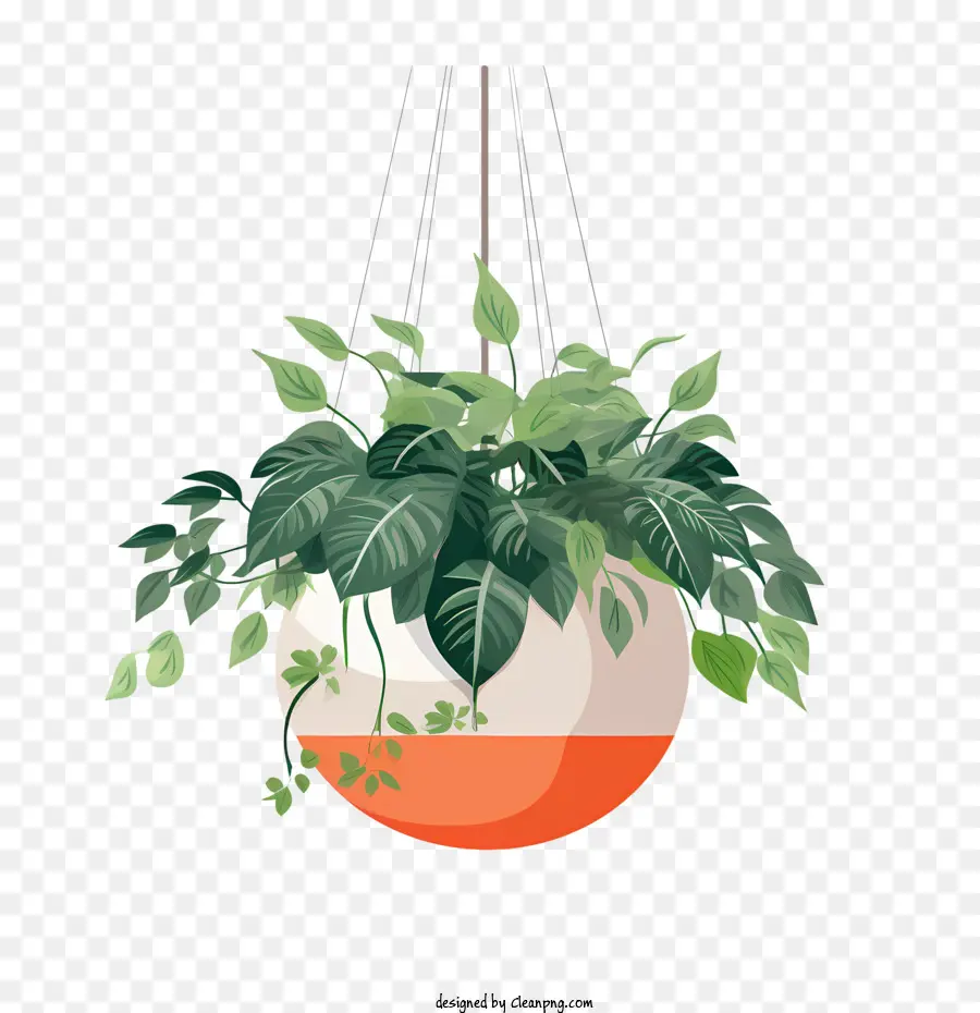 Planta Colgante Con Maceta，Planta Colgante PNG