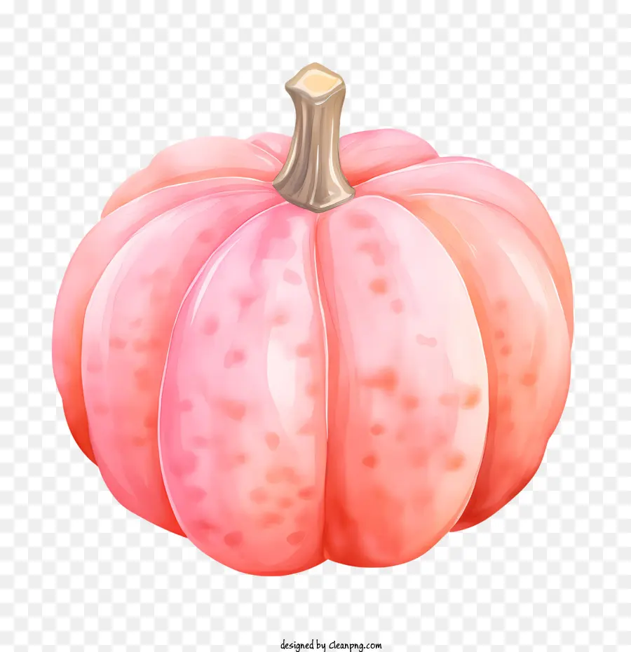 Calabaza Rosa，Rosa PNG