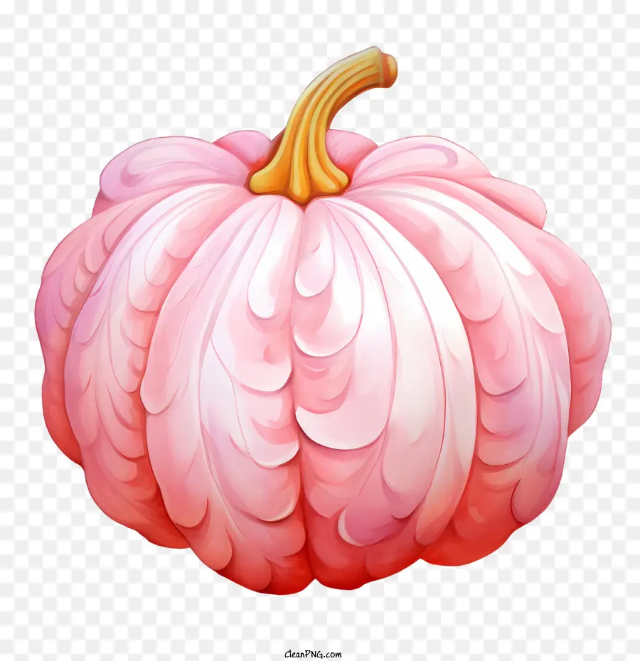 Calabaza Rosa，Rosa PNG