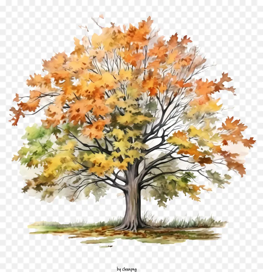 árbol De Otoño，Hojas De Otoño PNG