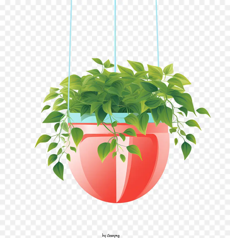 Planta Colgante Con Maceta，Planta En Maceta PNG