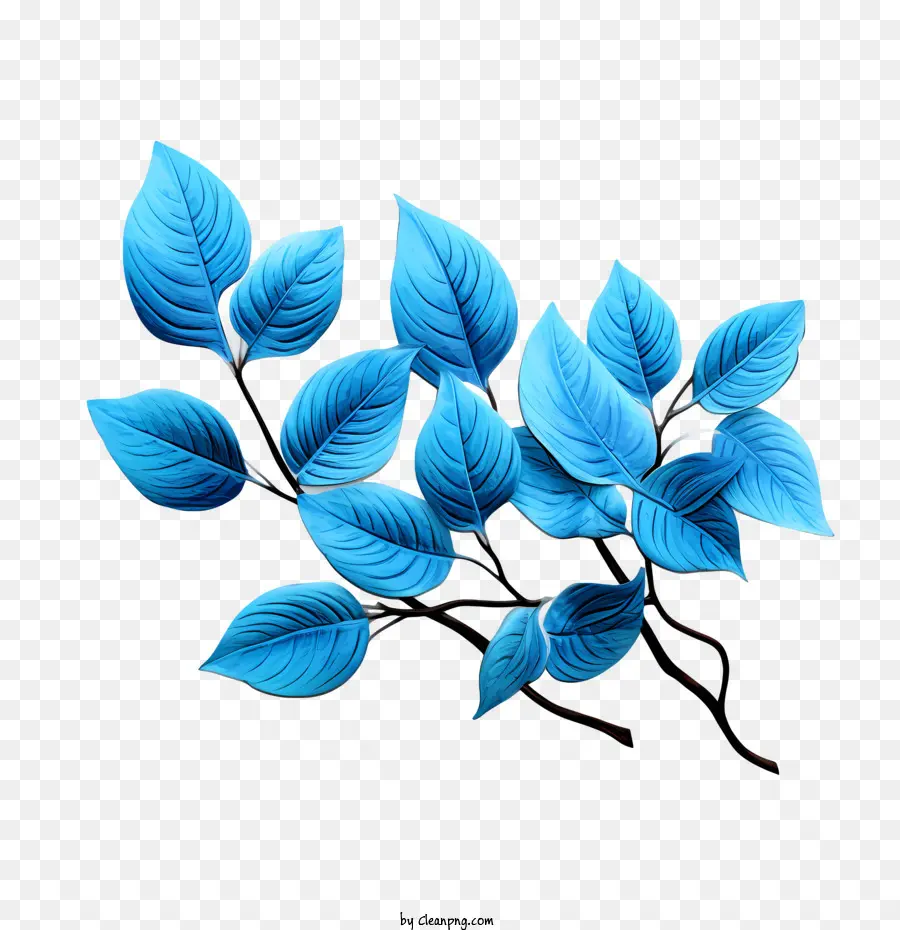 Las Hojas Azules，Flor PNG