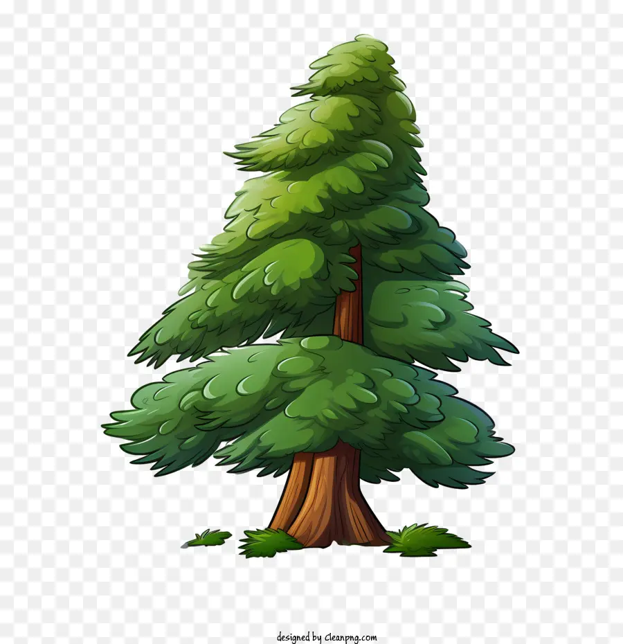 árbol De Hoja Perenne，Árbol PNG